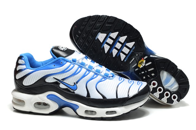 chaussure requin tn