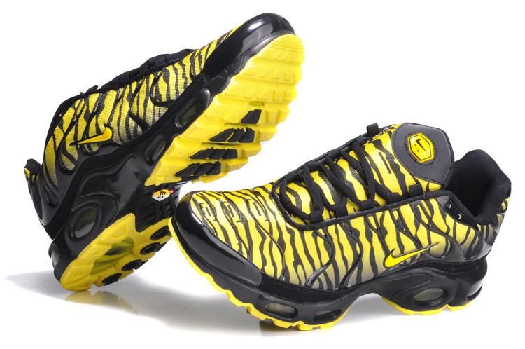 des requins chaussures